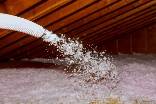 Best Residential Insulation in Villas, FL