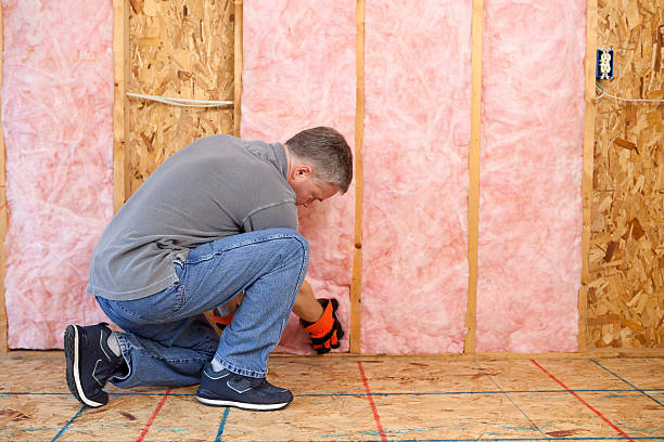 Best Insulation Maintenance and Repair in Villas, FL